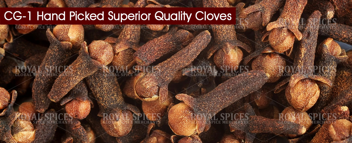 Specifications of CG-1 HPS Quality Cloves - Madagascar Cloves Grades